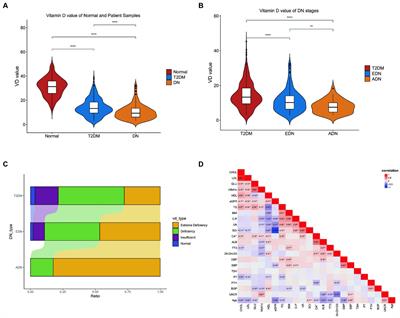 The association between vitamin D and the progression of diabetic nephropathy: insights into potential mechanisms